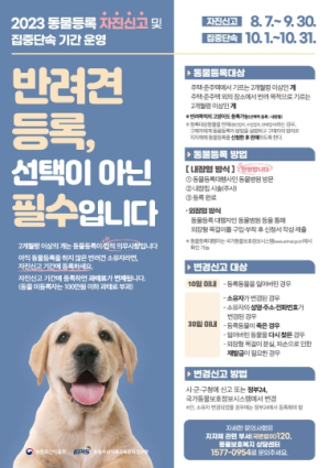 영천시, 반려동물 등록 자진신고 기간 운영
