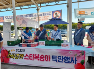 영천시, 고속도로 휴게소에서 복숭아 특판행사 열어