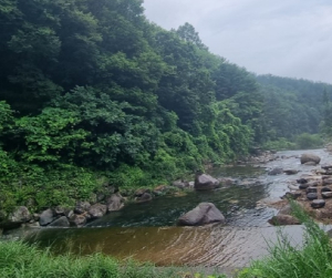 경북도, 휴가철 물놀이지역 수질 검사 강화