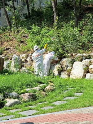 경북 소방본부, 벌 쏘임 사고 주의 당부!