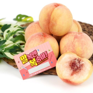 의성군, 의성眞 복숭아 말복 이벤트 실시