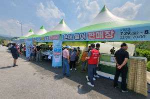 봉화군, 축제 준비용‘봉화은어’ 15톤 전량 소진!