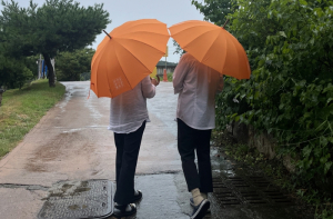 영주시, 무섬마을 ‘양심우산 대여 서비스’…관광객 편의 제공