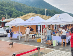 문경시 가은아자개시장 관광형 토요장터 `토요 그린마켓` 개장