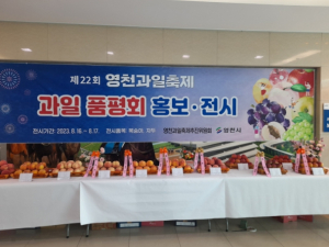 영천시, 복숭아‧자두 품평회 개최