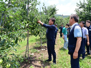 청송군, 농작물 냉해로 특별재난지역 지정