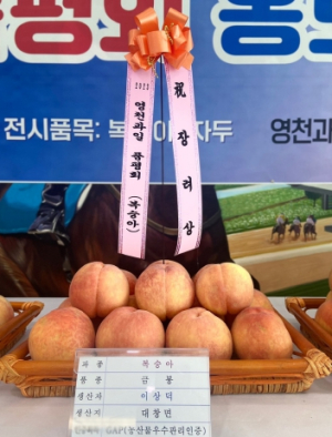 영천시 ,제22회 영천 과일 품평회 개최