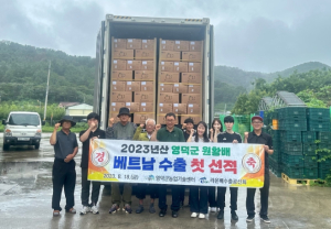 영덕군, 당도 끝판왕 영덕산 원황‘배’ 베트남 입성!