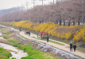 영주시가지 보행로길 조성사업 탄력…‘국비 13억원’ 추가 확보