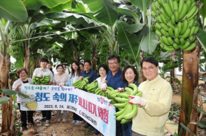 이색적인 체험 현장! 청도 바나나의 맛과 향연