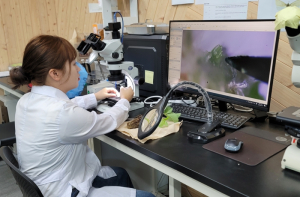경북도 수산물 안전 주부모니터링단, 안전성 검증 강화