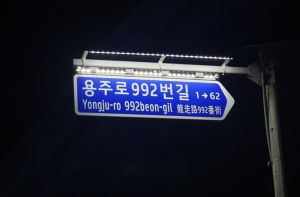 야간보행도 안전하게... 경북도가 앞장선다!