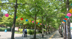 대구광역시, 산림청‘가로수 조성·관리’권역별 교육 개최
