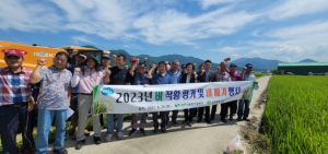상주쌀연구회, 2023년 벼 작황 평가와 벼 베기 행사 실시!