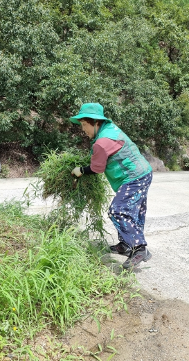 김천시 아포읍 새마을남녀협의회, 경로당 환경정비 실천