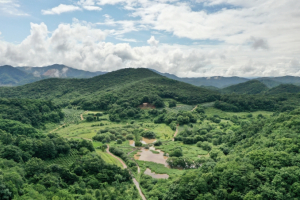 `문경시(돌리네습지)` 세계 람사르습지도시 최종후보지 선정