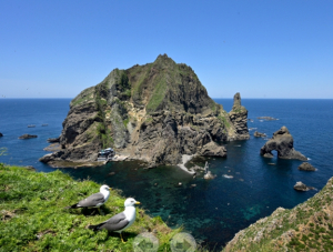 경북도, 제13회 대한민국 독도 문예대전 시상식 열려