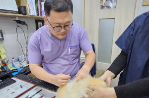 대구시, 가을철 광견병 예방접종 실시