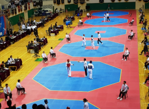 제32회 국방부장관기 전국단체대항 태권도대회 문경서 개막