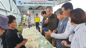 구미시, 좋은 멜론 품종 찾기 위한 현장평가회 개최