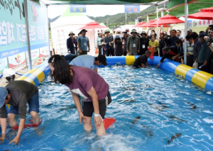 오미자와 만나 대박난 백두대간 문경송어축제!
