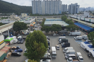 대구시, 추석맞이 농수산물도매시장주차장 무료개방