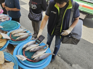 포항시 수산물품질관리센터, 추석 제수용 수산물 안전성 검사 실시