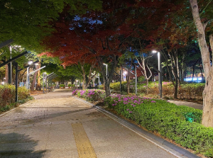 대구시, 골목상권에 힘찬 활력의 빛을 불어 넣다