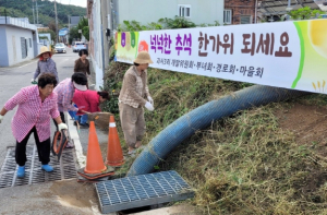 영덕군 영해면 괴시3리 주민들, 추석맞이 대청소로 화합 다져