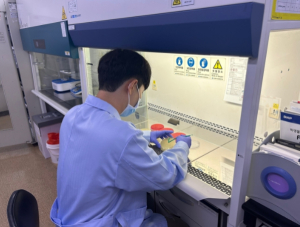 경북도, 추석 성수식품 안전성 확인“모두 적합”