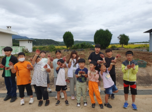 영덕교육지원청 원황초, 가을의 수확을 맛보다!