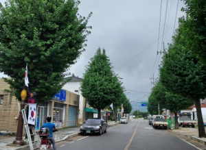 성주군 벽진면, 나라사랑 태극기 달기 운동 추진