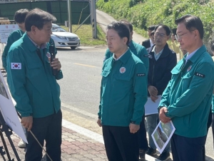 소나무 고사목 집단 발생에 포항시, 산림청·경북도와 공동대응 나서