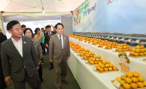 2023 청도반시축제 & 청도세계코미디아트페스티벌 성황리 폐막