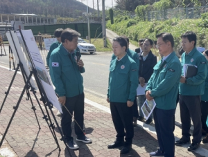 소나무 고사목 집단 발생에 포항시, 산림청·경북도와 공동대응 나서