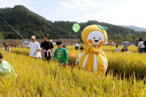 2023 성주가야산황금들녘메뚜기축제 성료