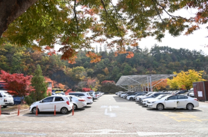청송군, 안전하고 편리한 교통 환경 조성
