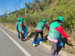 성주군 월항면 새마을 남녀지도자, 환경정화 활동 실시