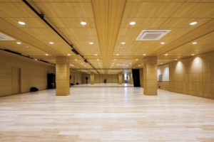 대구문화예술진흥원 대구공연예술연습공간, 문화체육관광부 장관상(대상) 수상