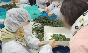 봉화군정신건강복지센터, ‘제천 살림터 탐방’직업재활 프로그램 진행