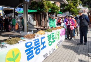 울릉군새마을부녀회 향토나물 시식회