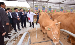 경북 최고 한우 선발, 2023년 경북한우경진대회 성료