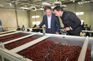 군위군, 대추선별기 시연회 개최