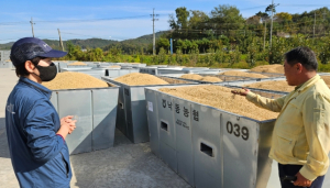 상주시 낙동농협, 2023년산 산물벼 자체수매 실시