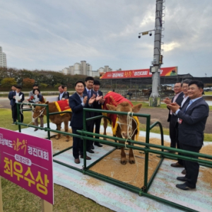 경북한우경진대회 미경산우 부문, 청도군 금천면 박천석 농가 ‘최우수상’ 수상
