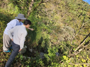 성주군 금수면장, 23년 2회추경 소규모주민숙원사업 사업장 현장 점검 및 24년 당초사업 현장 조사 실시!!