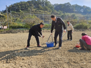 청도군 화양읍 삼신1리 “남성현출장소 앞 유휴지 꽃양귀비 꽃밭조성”을 통한 청도행복헌장 실천