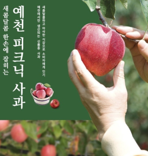 예천군, `피크닉 사과` 농식품부 장관상 수상!