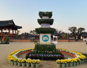 상주시농업기술센터, 제22회 국화전시회 개최