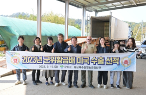 군위 황금배 50여 톤 미국 수출길 올라